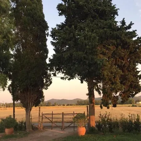 Azienda Agricola Maremma Bio Marsiliana Exterior photo