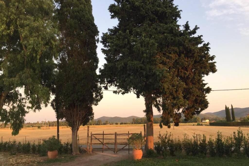 Azienda Agricola Maremma Bio *