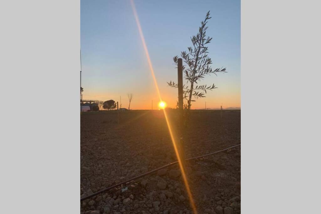 Azienda Agricola Maremma Bio Marsiliana